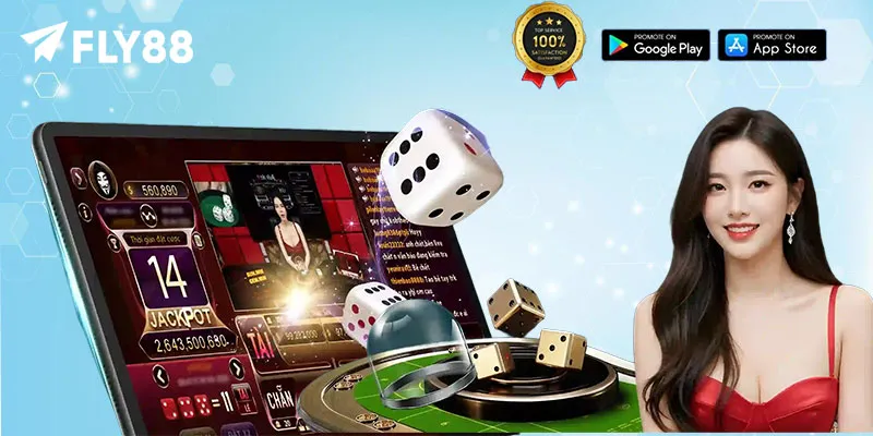 Hướng dẫn Fly88 - fly88 dev